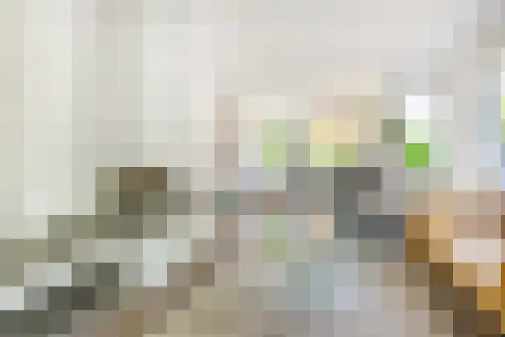 Everdrift 2 Cuijk thumbnail 13