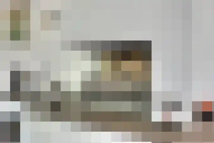 Everdrift 2 Cuijk thumbnail 14