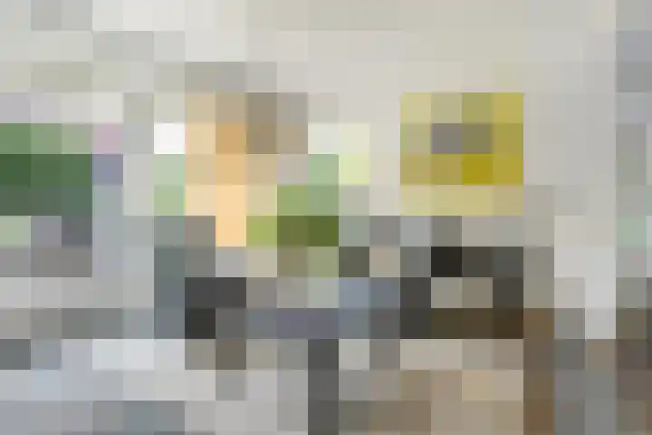 Everdrift 2 Cuijk thumbnail 15
