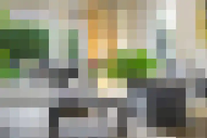 Everdrift 2 Cuijk thumbnail 16