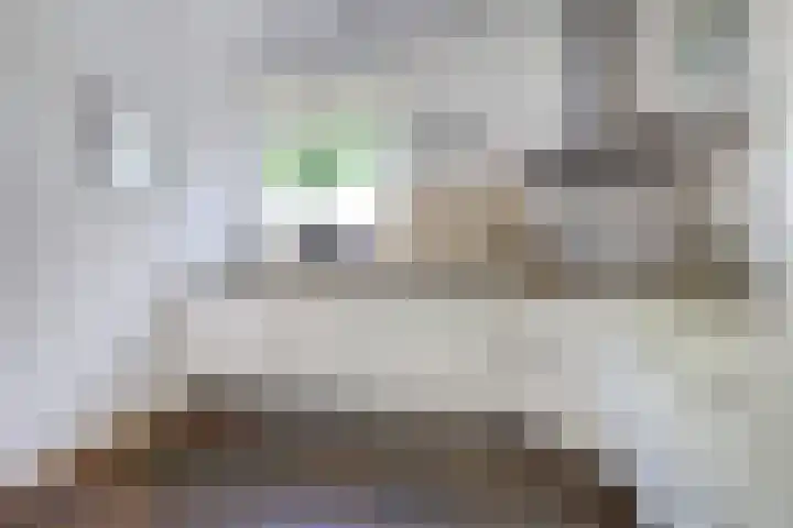 Everdrift 2 Cuijk thumbnail 22