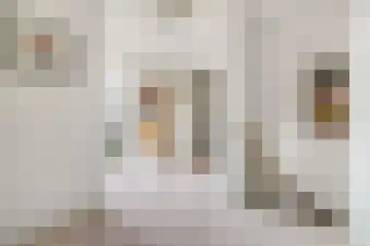 Everdrift 2 Cuijk thumbnail 29