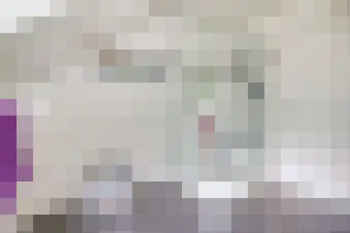 Everdrift 2 Cuijk thumbnail 34
