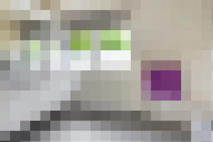 Everdrift 2 Cuijk thumbnail 35
