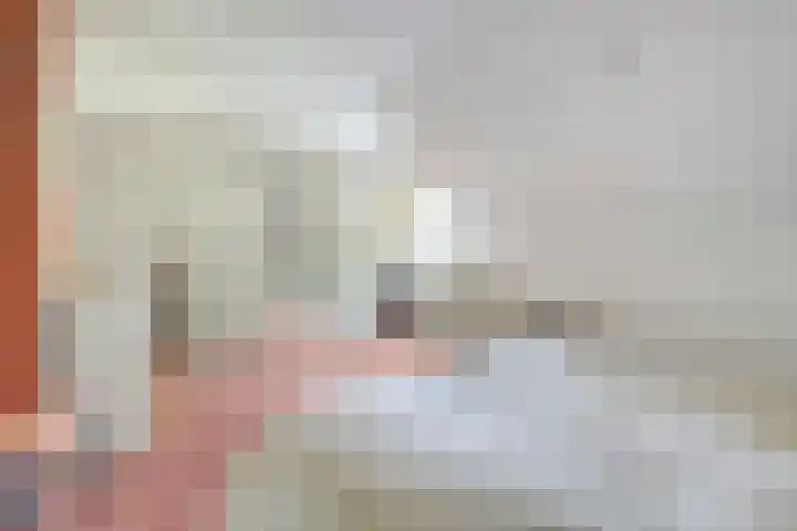 Everdrift 2 Cuijk thumbnail 4