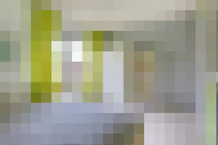 Everdrift 2 Cuijk thumbnail 40