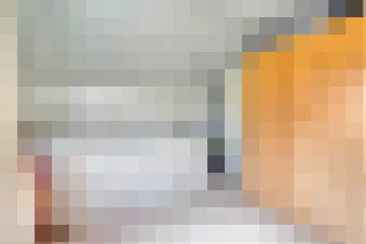 Everdrift 2 Cuijk thumbnail 42
