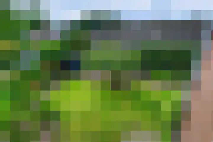 Everdrift 2 Cuijk thumbnail 44