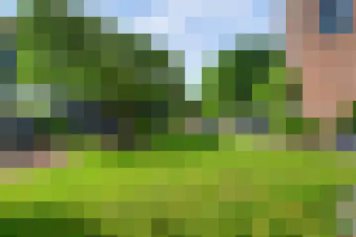 Everdrift 2 Cuijk thumbnail 45