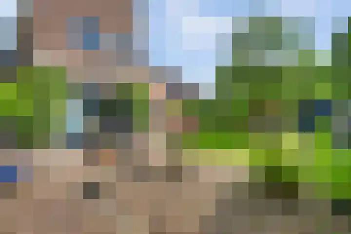 Everdrift 2 Cuijk thumbnail 47