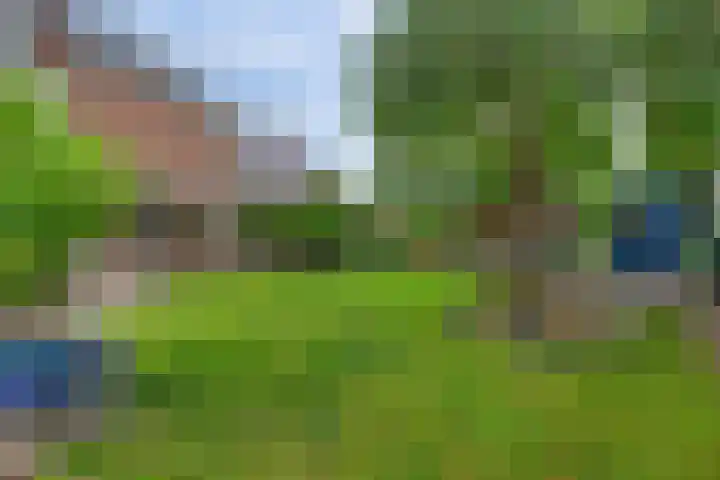 Everdrift 2 Cuijk thumbnail 48