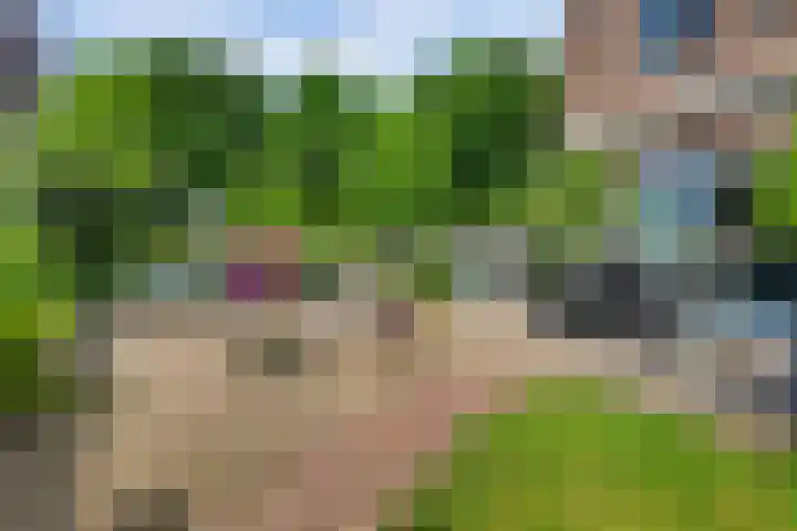 Everdrift 2 Cuijk thumbnail 49