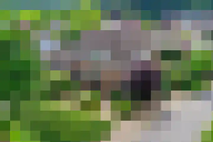 Everdrift 2 Cuijk thumbnail 5