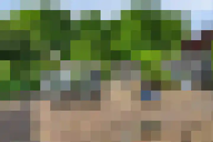 Everdrift 2 Cuijk thumbnail 50