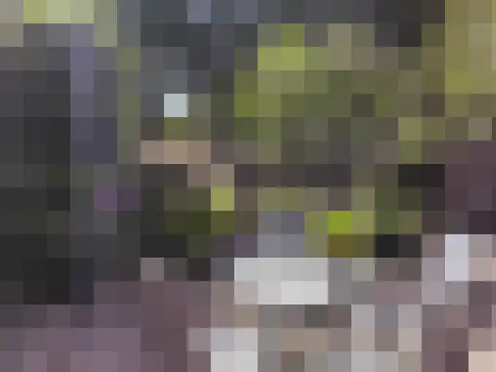 Everdrift 2 Cuijk thumbnail 51