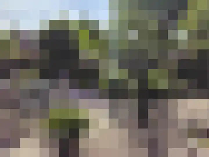 Everdrift 2 Cuijk thumbnail 52