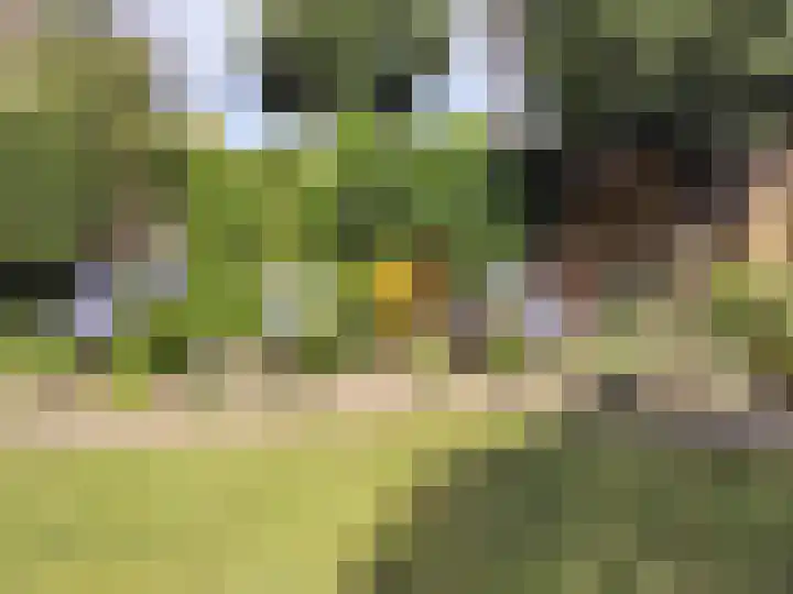 Everdrift 2 Cuijk thumbnail 53