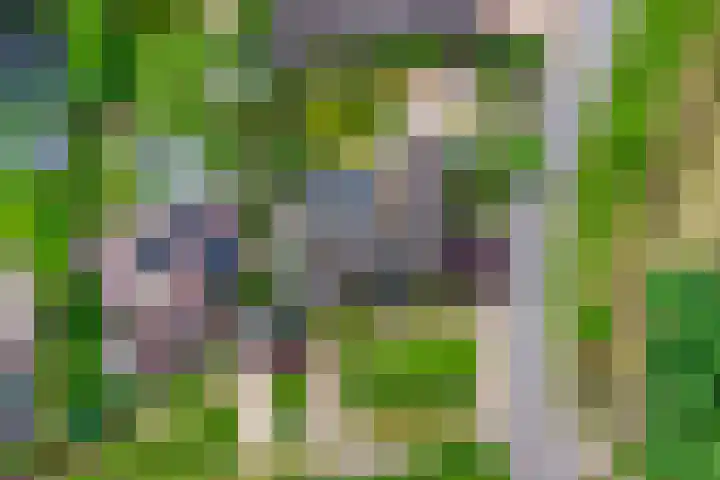 Everdrift 2 Cuijk thumbnail 54