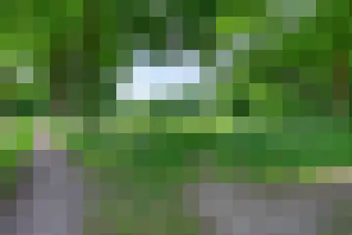 Everdrift 2 Cuijk thumbnail 55