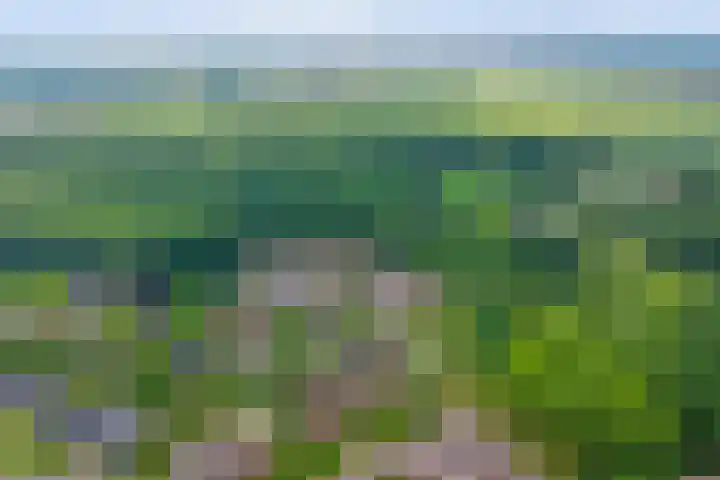 Everdrift 2 Cuijk thumbnail 56