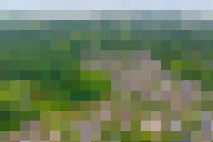 Everdrift 2 Cuijk thumbnail 57