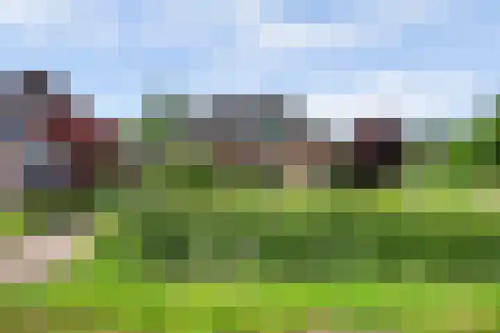 Everdrift 2 Cuijk thumbnail 6