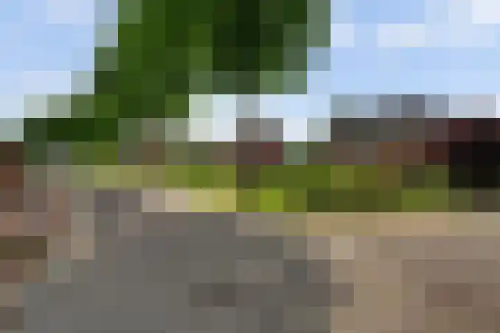 Everdrift 2 Cuijk thumbnail 8