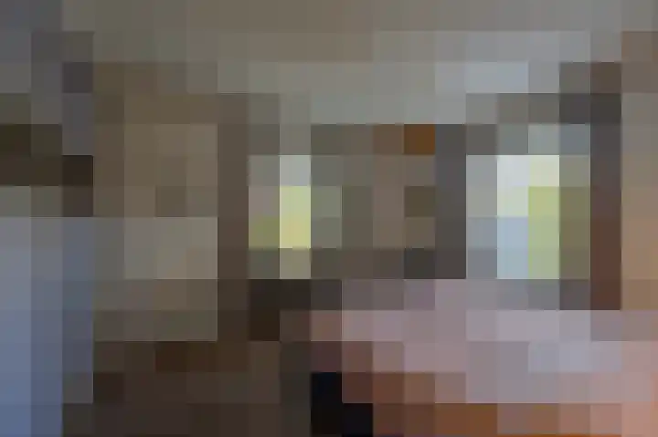 Everestlaan 7 Venray thumbnail 25