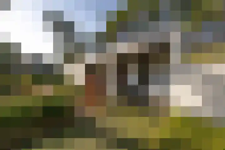 Everestlaan 7 Venray thumbnail 37