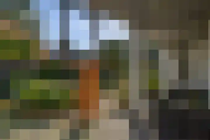 Everestlaan 7 Venray thumbnail 4