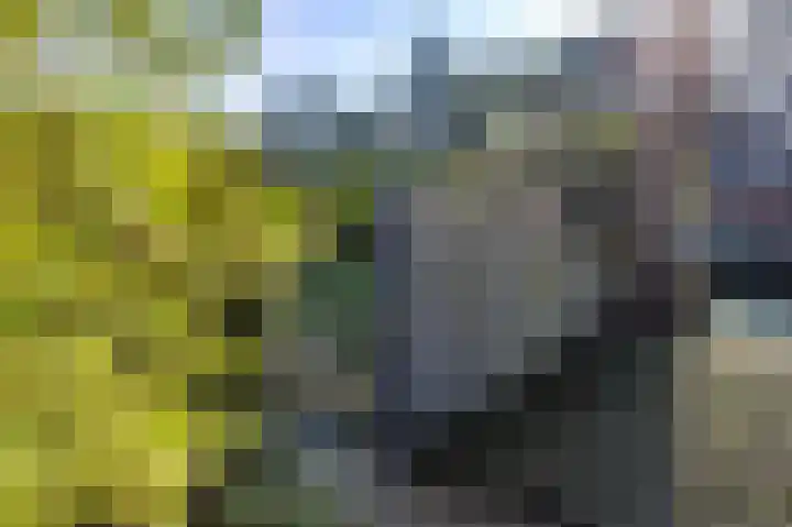 Everestlaan 7 Venray thumbnail 43