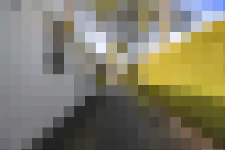 Everestlaan 7 Venray thumbnail 45