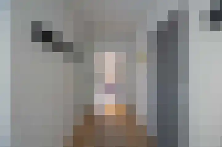 Everestlaan 7 Venray thumbnail 9