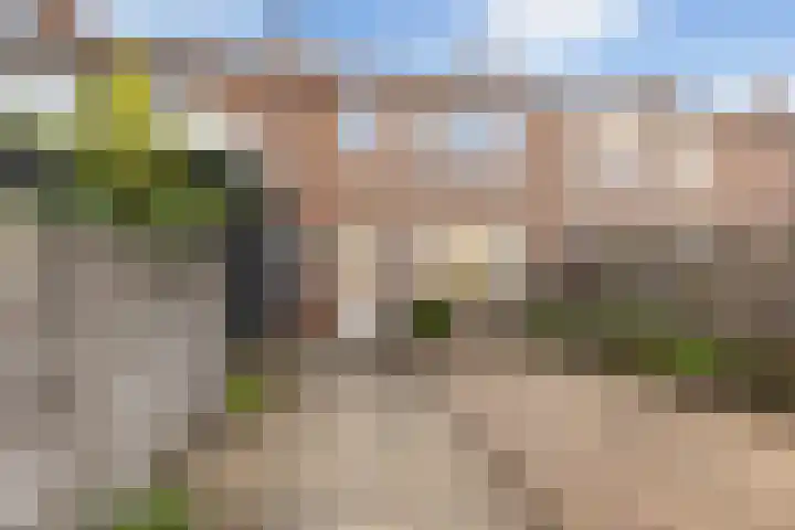 Evergunne 11 Hattem thumbnail 19