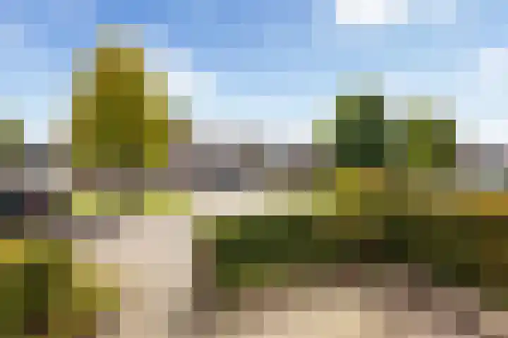 Evergunne 11 Hattem thumbnail 4