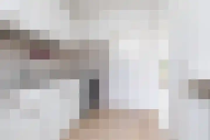 Evergunne 11 Hattem thumbnail 9