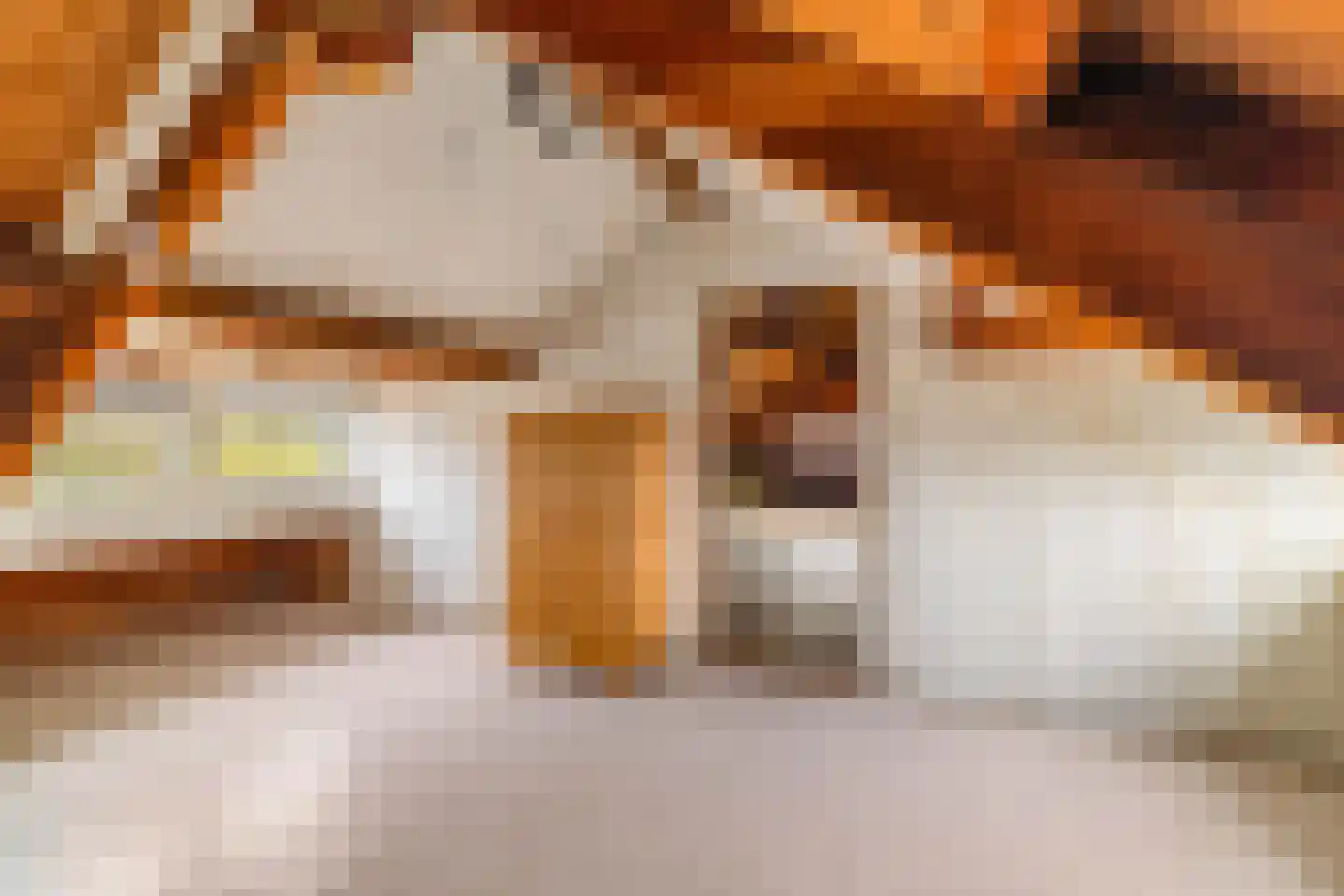 Everhard van Bronkhorststraat 15 Deventer thumbnail 28