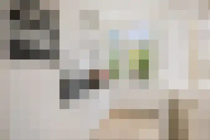 Everhard van Bronkhorststraat 2 Deventer thumbnail 13