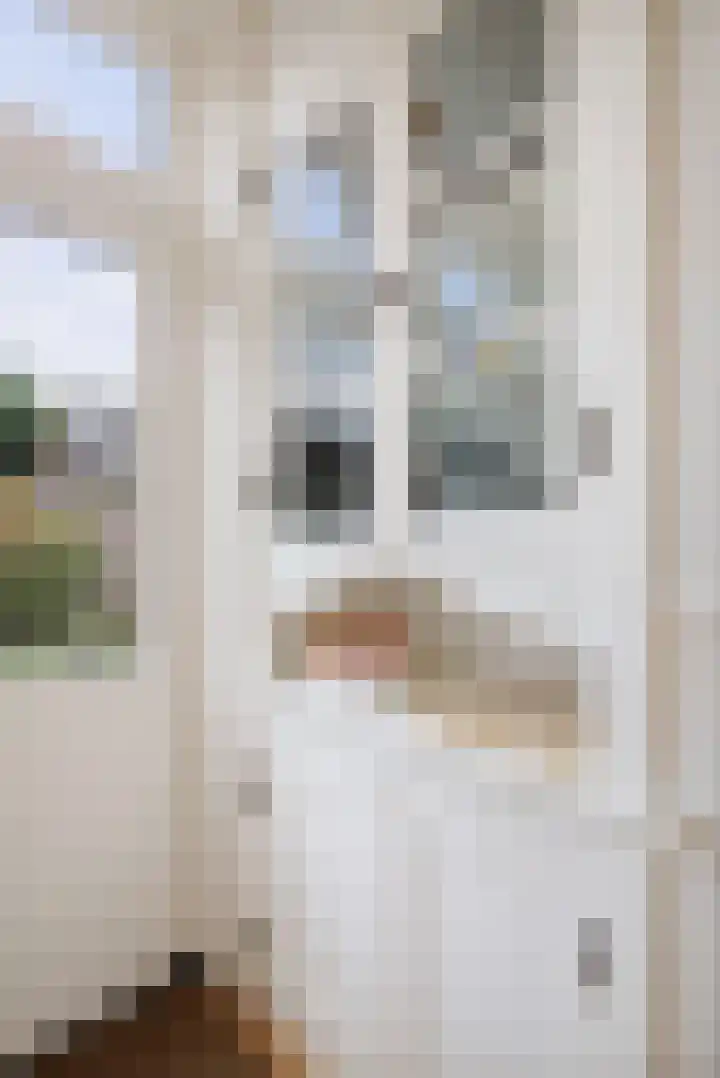 Everhard van Bronkhorststraat 2 Deventer thumbnail 16