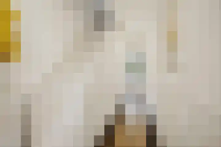 Everhard van Bronkhorststraat 2 Deventer thumbnail 17