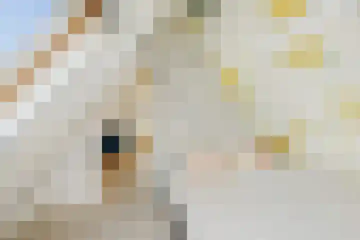 Everhard van Bronkhorststraat 2 Deventer thumbnail 33