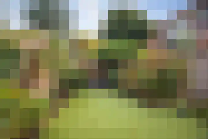 Everhard van Bronkhorststraat 2 Deventer thumbnail 40