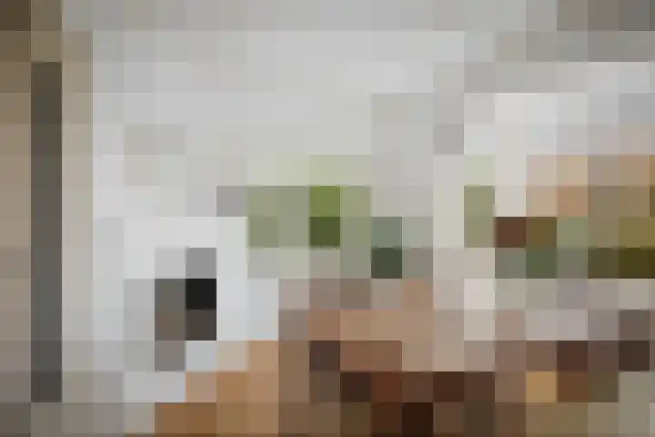 Everhard van Bronkhorststraat 2 Deventer thumbnail 9