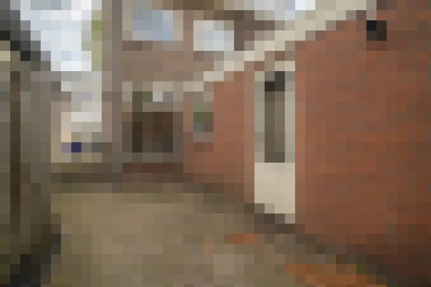 Everhardt van der Marckstraat 16 Enschede thumbnail 21