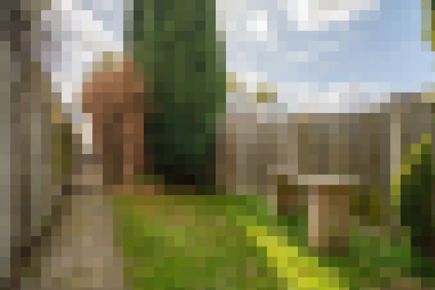 Everhardt van der Marckstraat 16 Enschede thumbnail 24