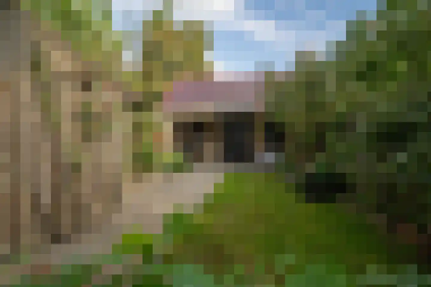 Everhardt van der Marckstraat 48 Enschede thumbnail 38