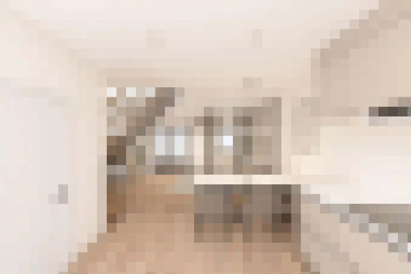 Everingestraat 17 Borssele thumbnail 4