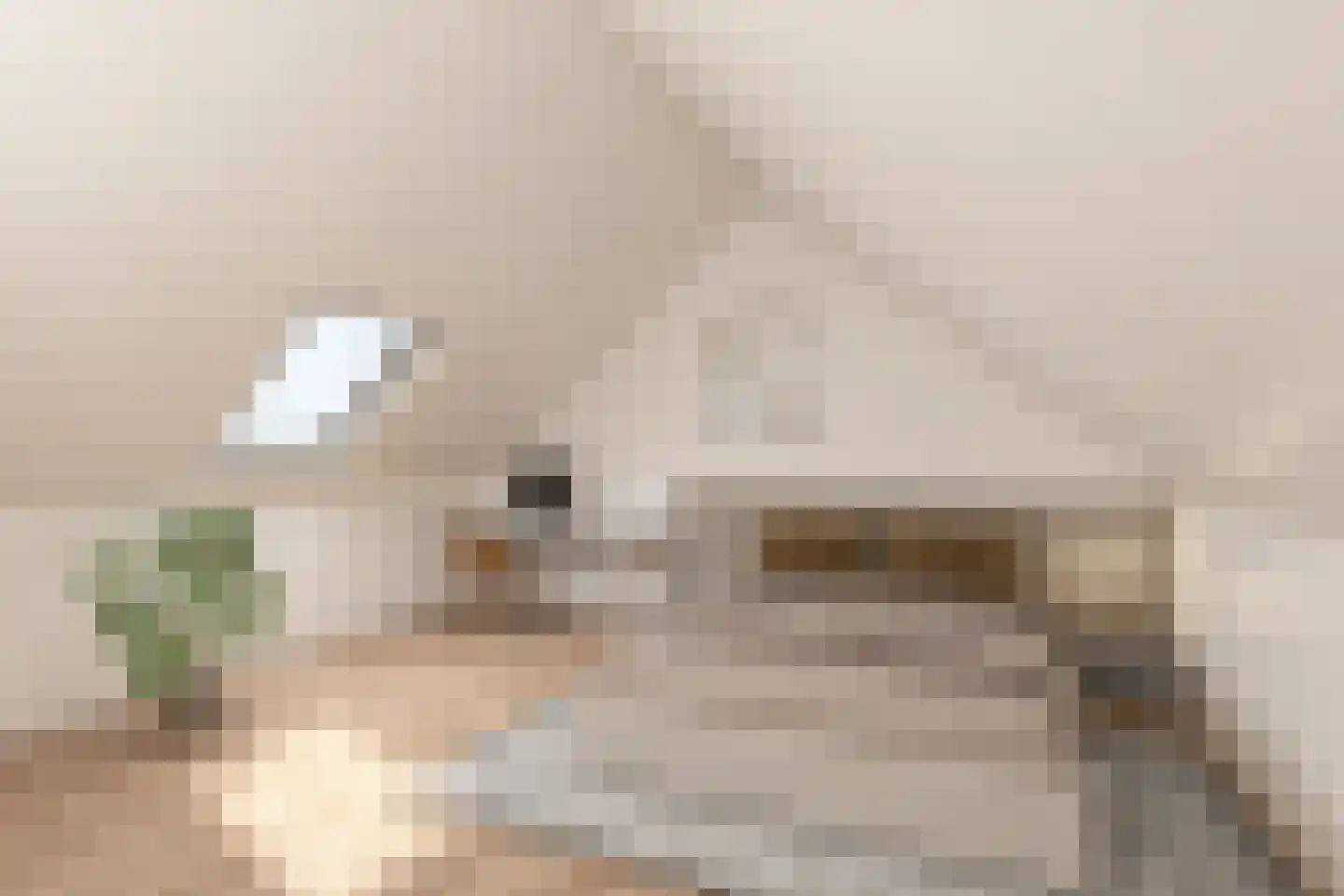 Everingestraat 17 Borssele thumbnail 6