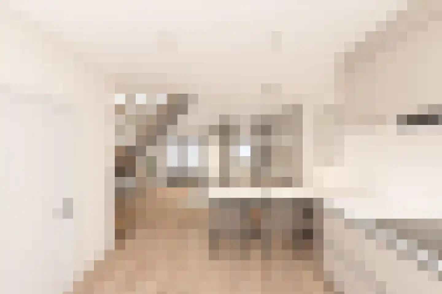 Everingestraat 19 Borssele thumbnail 4