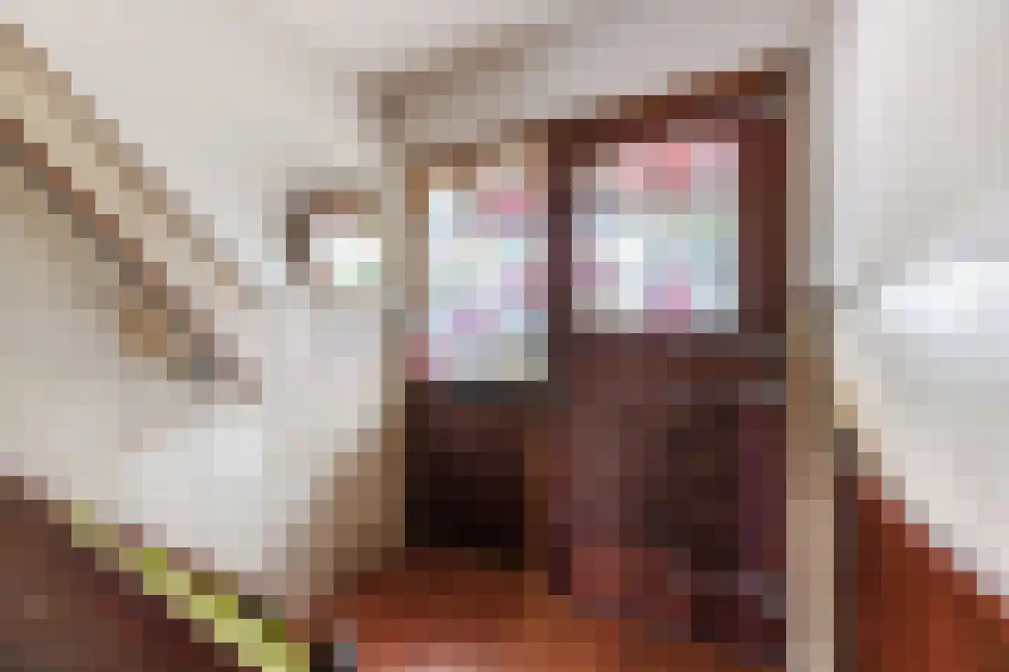 Everjachtstraat 25 Tilburg thumbnail 10